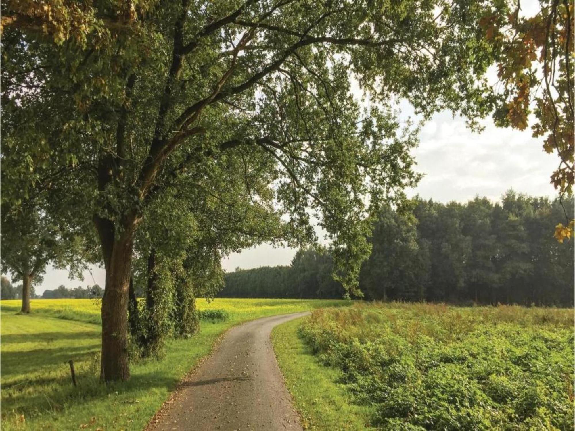 Villa Monumental Farm In The Ash Landscape Geesteren  Exterior foto
