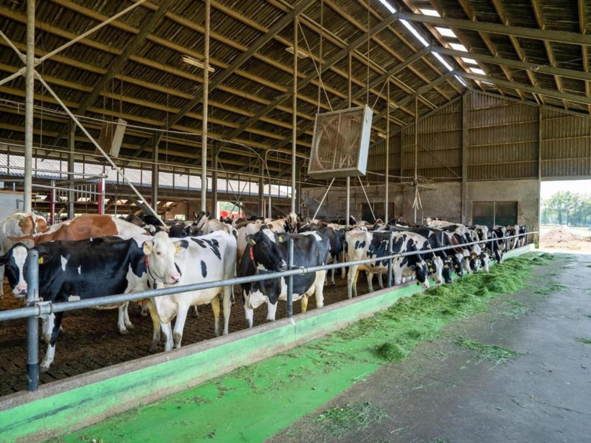 Villa Monumental Farm In The Ash Landscape Geesteren  Exterior foto